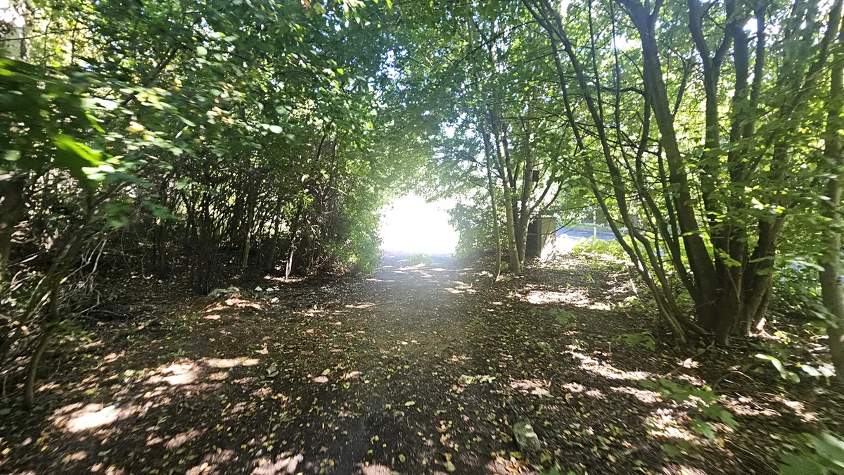 Fotka 14 z 17